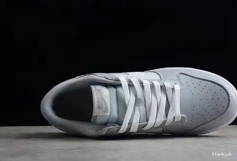 Dunk Tone Two NNike Low DJ6188-001 Grey 0608